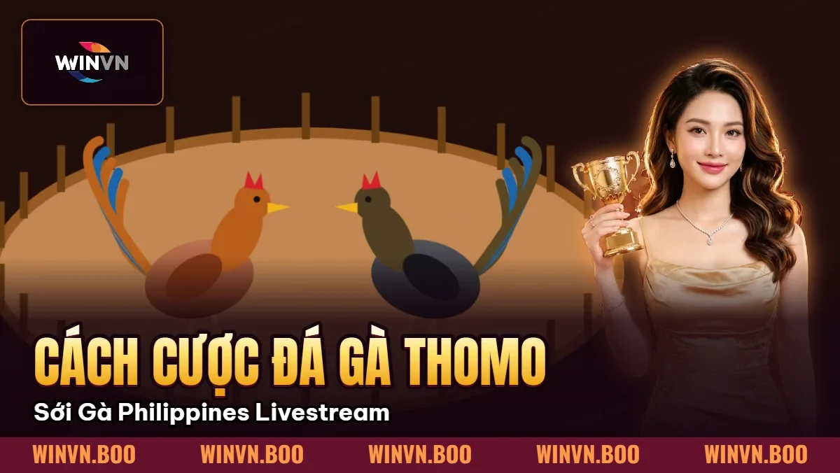 Cách Cược Đá Gà Thomo – Sới Gà Philippines Livestream Cách Cược Đá Gà Thomo – Sới Gà Philippines Livestream