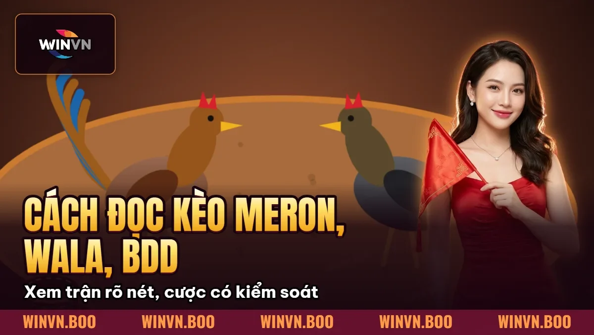 Cách Đọc Kèo Meron, Wala, BDD Trong Đá Gà