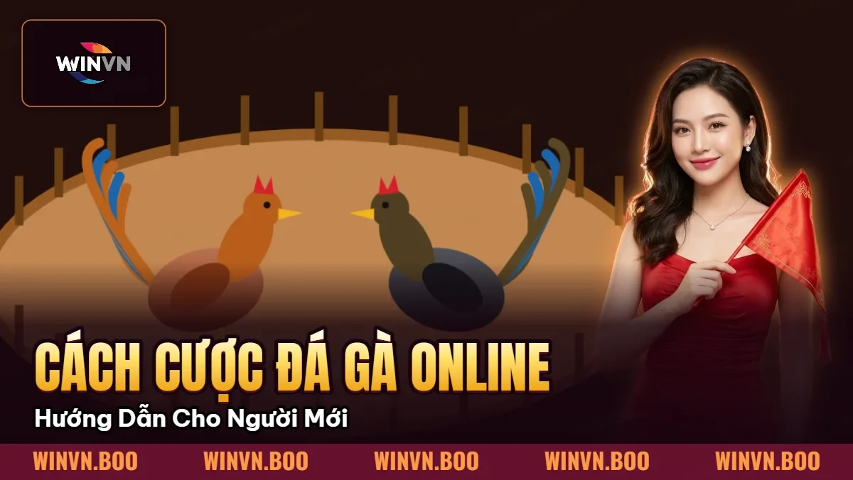 Cách Cược Đá Gà Online – Hướng Dẫn Cho Người Mới Cách Cược Đá Gà Online – Hướng Dẫn Cho Người Mới